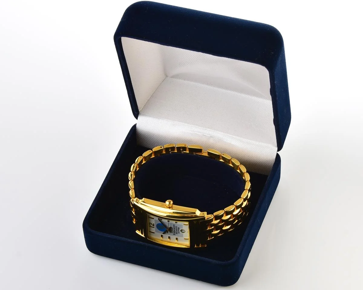 🇺🇦Ukrainian made Record quartz watch - from the Mayor of Kyiv!