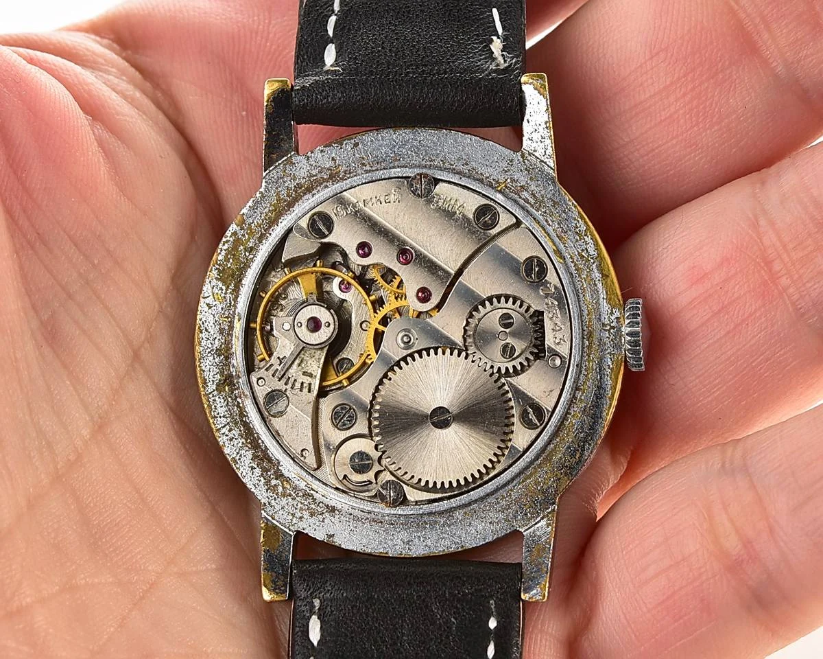 Zim-7532_KOM_0355