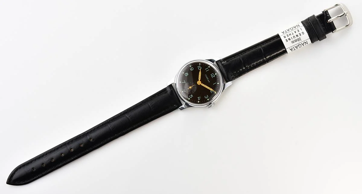Pobeda-17316_KOM_3160
