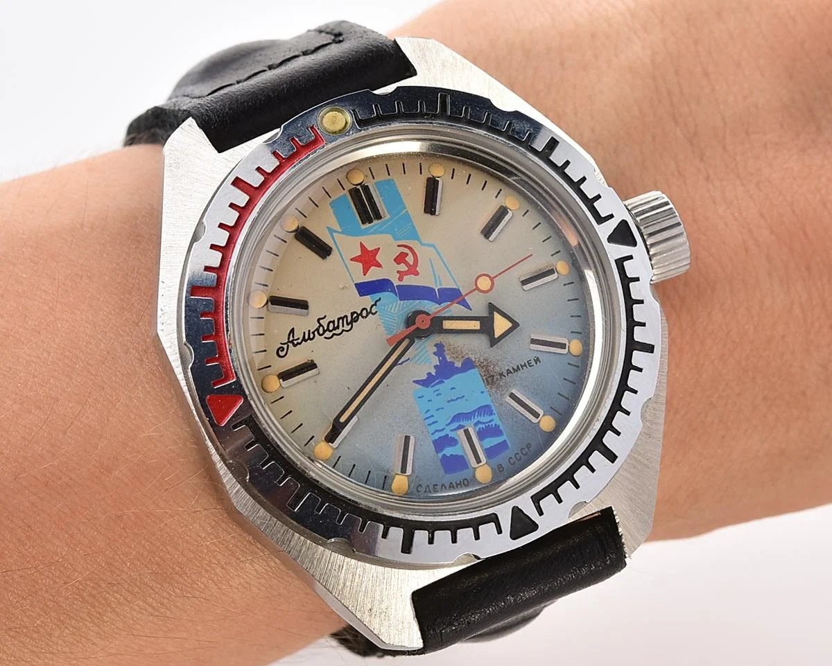 Albatros-13816_KOM_6811